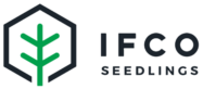 IFCO Seedlings
